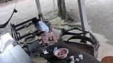 Huge king cobra snake attacks woman while she cooks dinner in Thailand