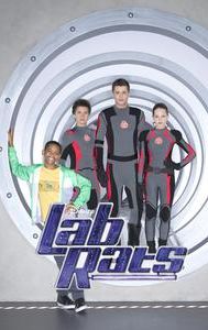 Lab Rats