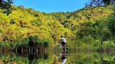 超夢幻山水梅花湖美景！單車行順賞梅花鹿冬山精彩一日遊