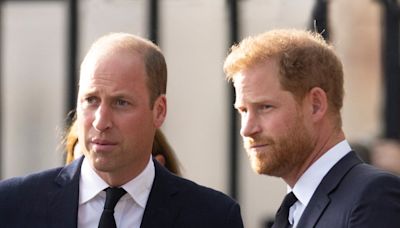 William et Harry : ce bien cher à leur mère Diana dont ils n'hériteront pourtant pas