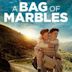 A Bag of Marbles (2017 film)