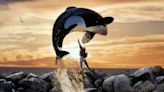 Free Willy at 30: 'It changed the way the world thinks about whales in captivity'