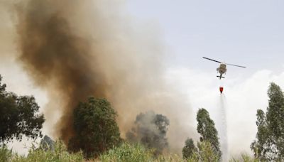 Un incendio de pastos junto al Parque Joyero moviliza a bomberos, Infoca y Policía Local