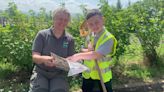 West Belfast boy discovers Northern Ireland’s first recorded water stick insect