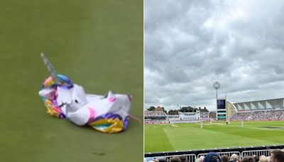 WATCH: Unicorn Balloon Halts Play During England vs West Indies Test at Trent Bridge - News18