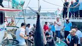漁會澄清：黑鮪魚每公斤均價389元 漁業署再提3措施護盤