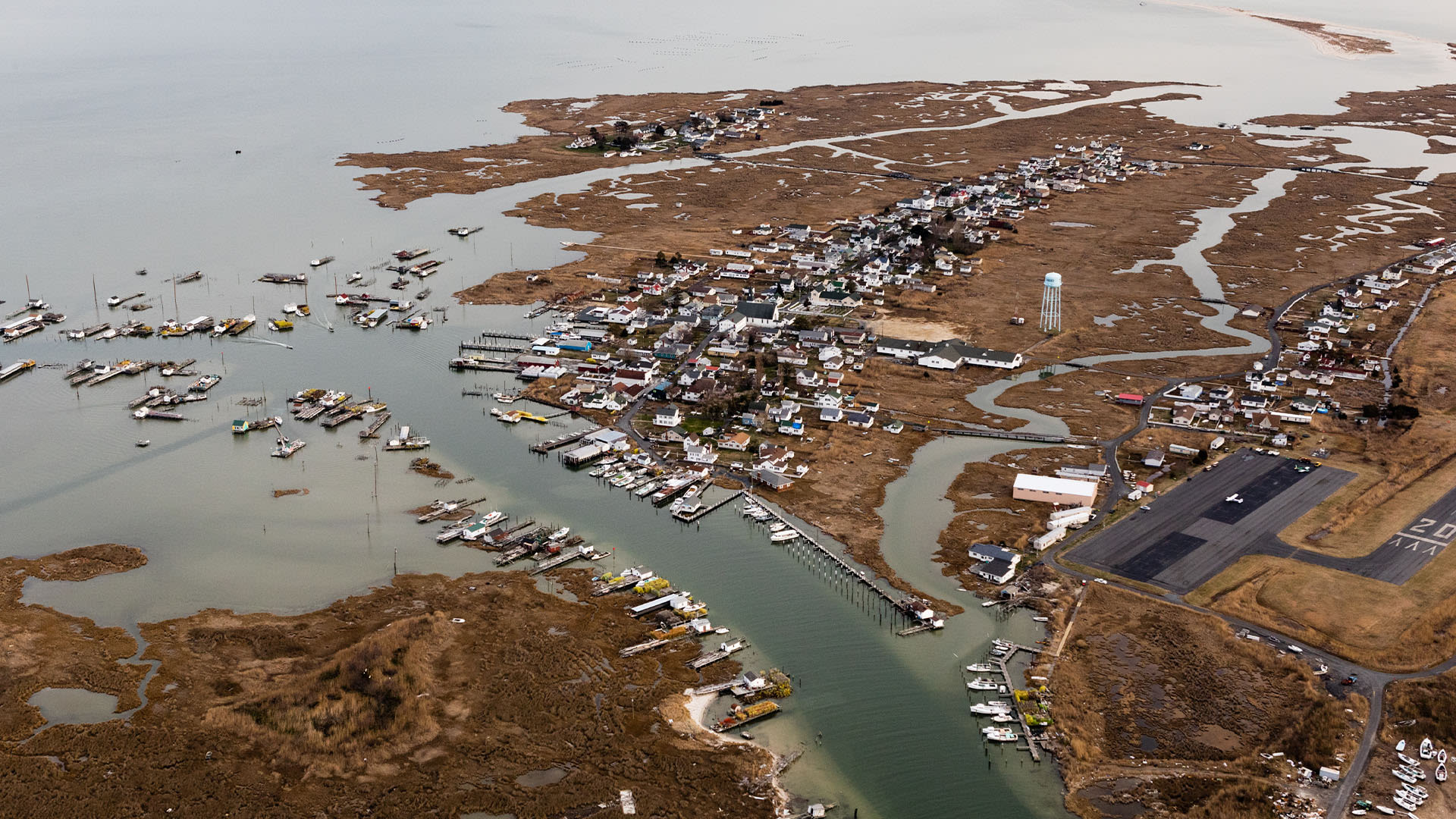 Secret gem is country's soft crab capital - & best way to see it is by golf cart