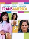 Transamerica (film)