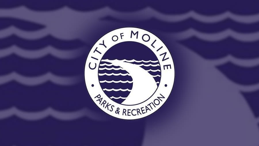 Moline Parks & Recreation receives grant for urban forest inventory