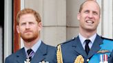 Prince William and Prince Harry show rare display of unity amid 'Harry & Meghan' Netflix drama