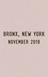 Bronx, New York, November 2019