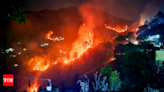 NGT issues notices to Centre, Uttarakhand as wildfires rage | India News - Times of India