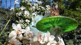 Cuatro mil orquídeas marcan tendencia en el Jardín Botánico de Nueva York