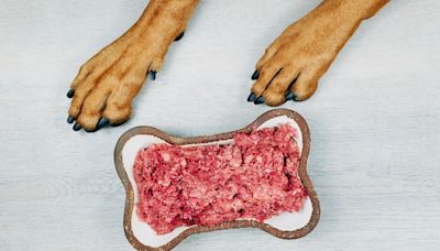 Should You Really Be Feeding Your Dog Raw Meat?