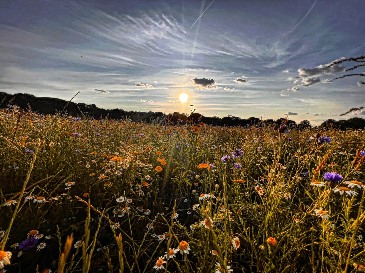 These Ohio parks are ranked best to watch the summer solstice sunrise