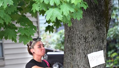Dover's removal of trees causes heartbreak. City official offers explanation.
