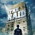 The Raid (2011 film)