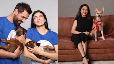 In Pics: From John Abraham to Madhuri Dixit, celebs who adopted strays