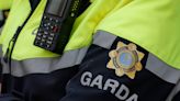 Two arrested following €1.25m cannabis seizure in Kildare