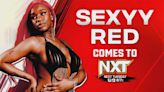 Sexyy Red aparecerá en WWE NXT la próxima semana