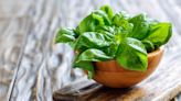 Fresh Basil Is Being Recalled Due to Salmonella Concerns—FDA Urges Consumers to Check Their Supply