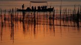 50 años de lucha por "Una sola Tierra" respetuosa con el medioambiente