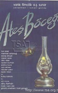 Ates Böcegi