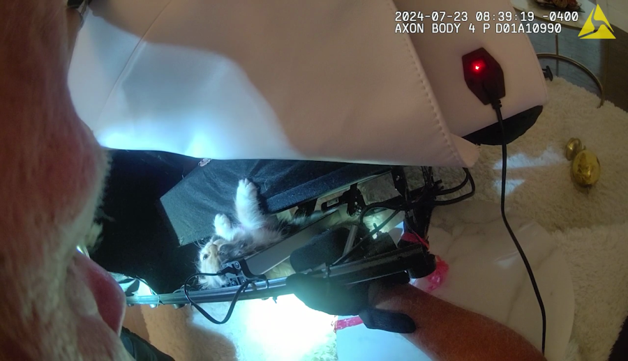 Video: Local officers save kitten trapped in recliner chair