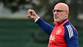 De la Fuente: Spain not favourites to win final