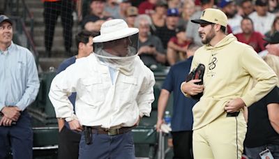 The Beekeeper Who Saved a Major League Baseball Game