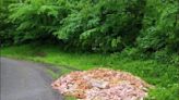 Large amount of meat dumped on Ohio road