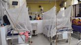 Dengue cases reach 25 in Ludhiana district