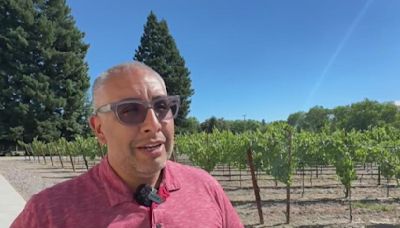 Sonoma County vineyard owner recalls past trauma as nearby wildfire burns