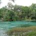 Rainbow Springs State Park