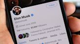 Who owned Twitter before Elon Musk?