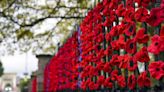 Remembrance Sunday Poppies won’t contain plastic next year