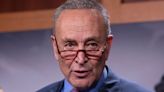 Sen. Chuck Schumer Is On The Antitrust Hot Seat