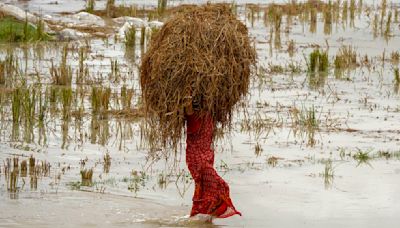 Latest News Live Updates: Northeast reels under floods, heavy rainfall; Modi likely to speak in Parliament