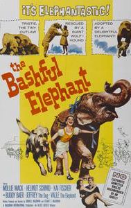 The Bashful Elephant