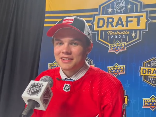 Detroit Red Wings sign top prospect Axel Sandin-Pellikka to entry-level contract