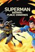 Superman/Batman: Enemigos Públicos