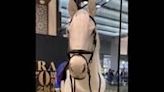 Japan: Lifelike Robot Horse Amazes Crowd At JRA 70th Anniversary Event In Tokyo 2