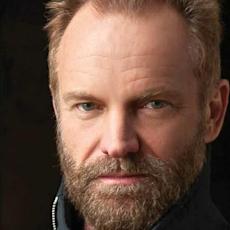 Sting (musician)