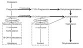 Congenital adrenal hyperplasia