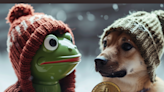 Dogecoin 'Millionaire' Reacts To Strategy Involving Heavy Allocation To Pepe, Dogewifhat: 'Basically My Entire Plan'