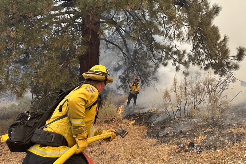 USDA works to reduce wildfire risk