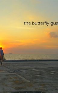 The Butterfly Guard