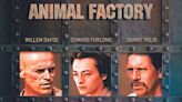 Animal Factory Streaming: Watch & Stream Online via Peacock