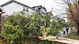 Power remains out to about 32K in Chicago, Maywood following high winds reaching 60 + mph, officials say