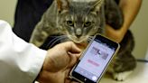 Japan's beloved cats get healthcare help from AI